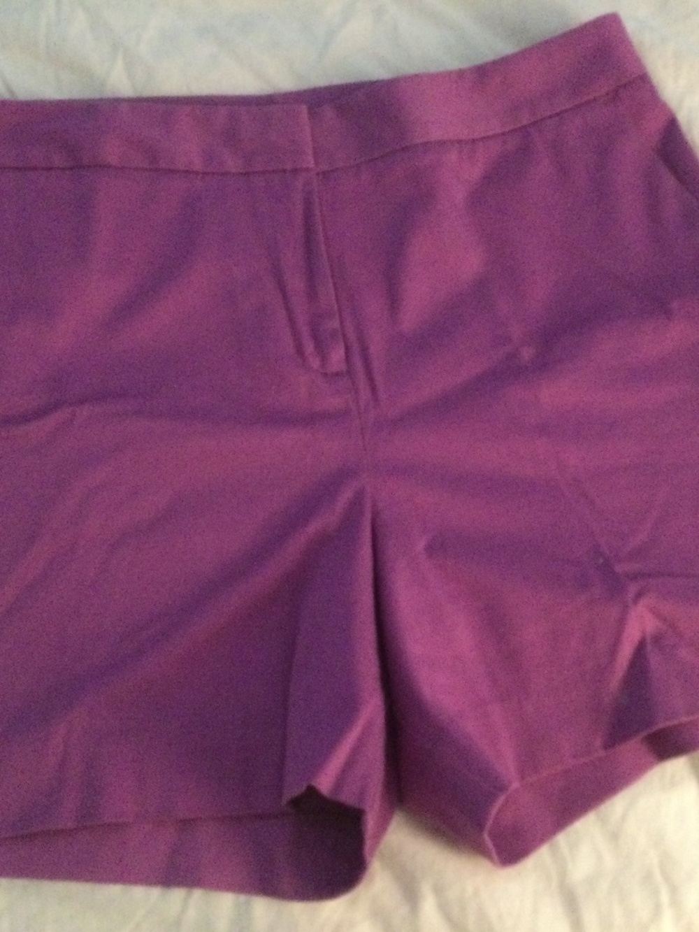 Worthington Purple Shorts 10